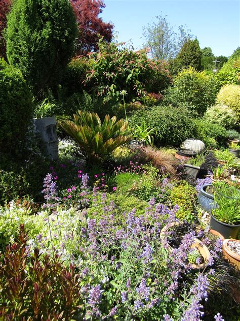 The Back Garden My Garden Flowers And Cats Leonora Ellie Enking