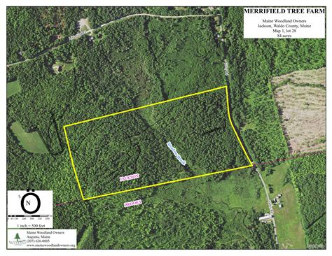 Merrifield Tree Farm — Maine Woodland Owners