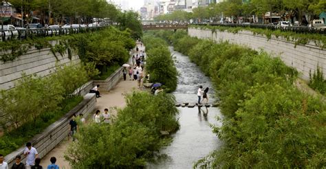 Aportes Locales A La Infraestructura Verde Urbana Arquitectura Y