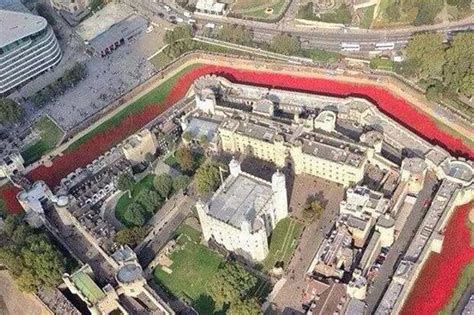 Amazing aerial view of Tower of London poppies display | London Evening ...