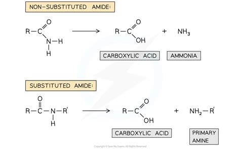 Reactions Of Amides Cie A Level Chemistry Revision Notes 2025