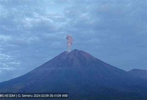 Semeru Alami 77 Kali Letusan Hingga Ratusan Kali Aktivitas Kegempaan