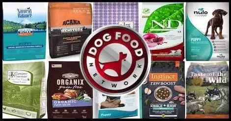 The 10 Best Dry Puppy Food Brands For 2024 - Dog Food Network