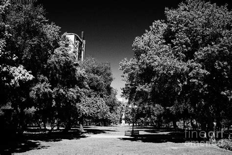 balmaceda park providencia Santiago Chile Photograph by Joe Fox - Fine Art America