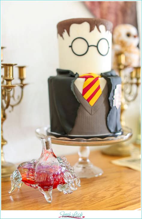 Harry Potter Birthday Party | Wesley Turns 12 - JudithsFreshLook.com