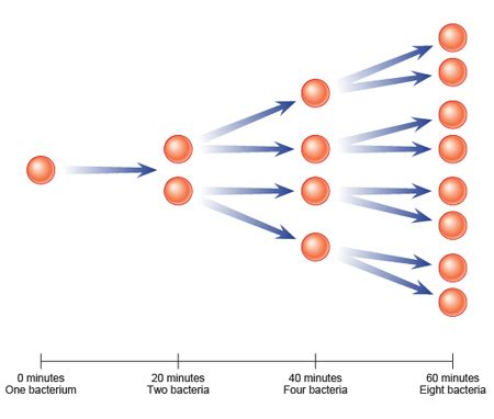 quadrillionBtus: Exponential Growth