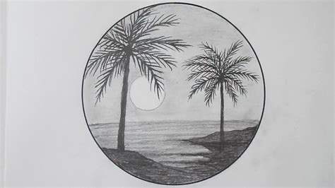 Palm Tree Pencil Drawing