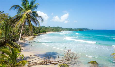 Resort Designed By Nature At Red Frog Beach In Panama The Panama