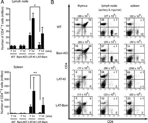 Genetic Evidence For The Role Of Erk Activation In A