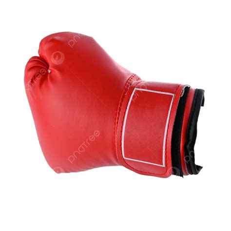 Fighting Gloves Clipart Hd Png Boxing Gloves Glove Fighting Sport