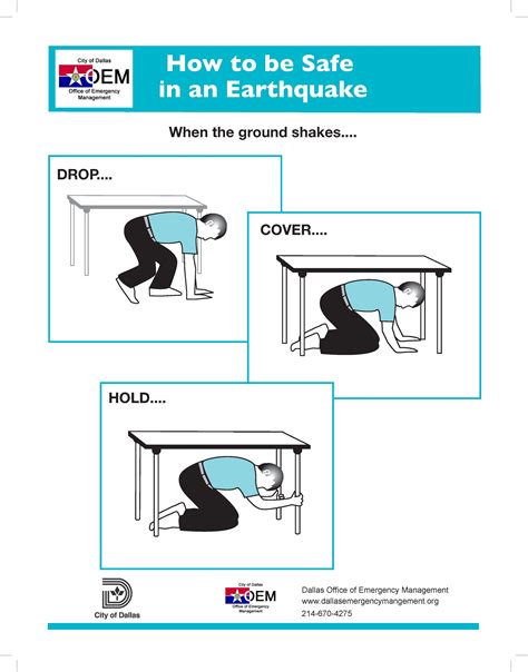 Emergency Management And Crisis Response Earthquakes