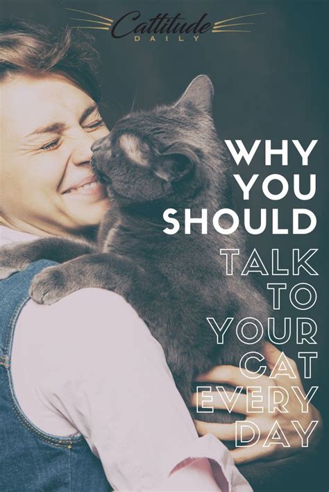 Why You Should Talk To Your Cat Every Day Cats Cat Care Cat Behavior