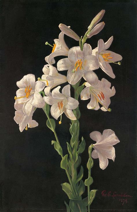 George Cochran Lambdin Easter Lily Art Print Canvastar