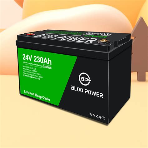 Bloo Power Customized Storage 12V 100 Ah With BMS Phosphate Energy For