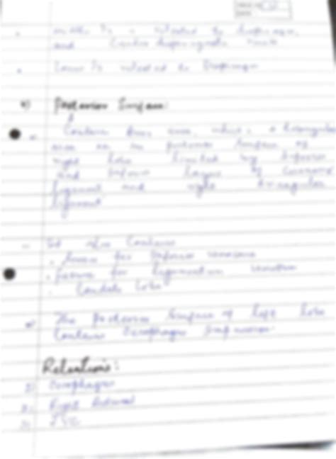 Liver Blood Supply 1