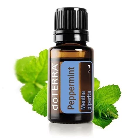 Hortel Pimenta Usos T Pic Doterra Peppermint Pepermint Mentha