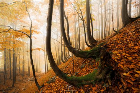 Wälder der Karpaten Landschaftsbilder Stefan Hefele Fotografie