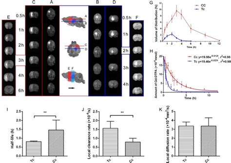 Transportation In The Interstitial Space Of The Brain Can Be Regulated