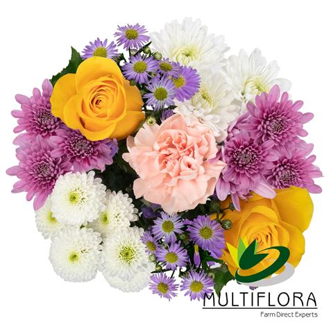 category spring multiflora