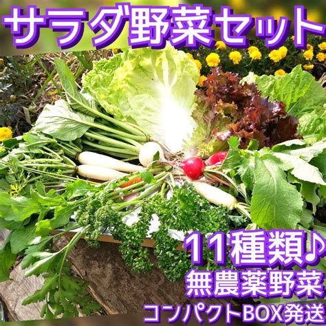 15♥サラダ野菜セット11種類無農薬野菜♥採りたて旬野菜♥野菜詰め合わせ多品種 メルカリ