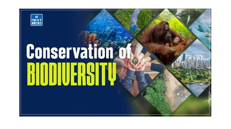 Conservation of Biodiversity: Types, Measures & More