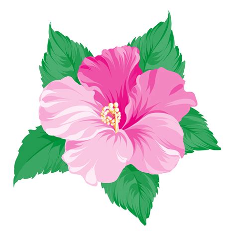 Free Hibiscus Flower Clipart