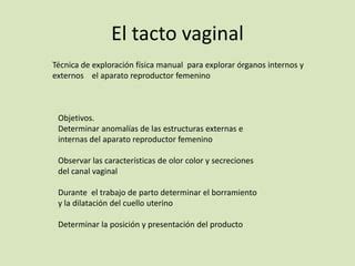 Maneobras De Leopold Tacto Vaginal Planos De Hode Y Tipos De Pelvis Ppt