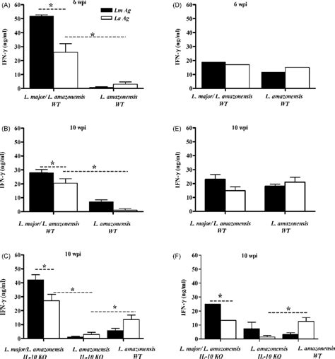 IFN Production By Spleen Cells From Mice Pre Infected With L Major And