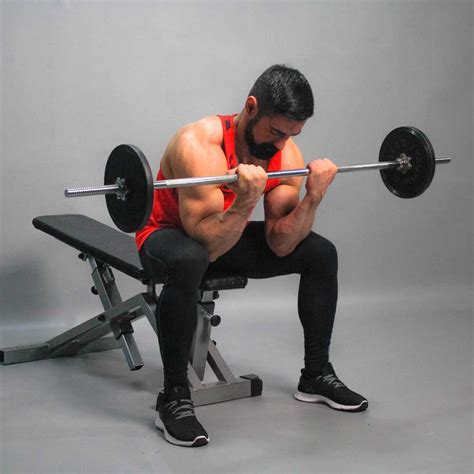 Barbell Sitting Biceps Curl – Fit Drills Website