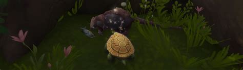 How To Obtain The Dalaran Sewer Turtle Battle Pet