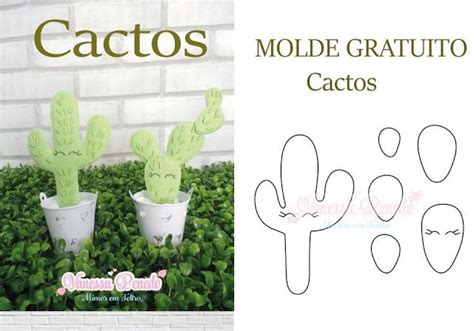 The Instructions For How To Make Cactus Plants