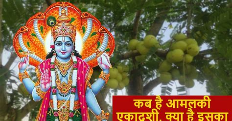 Amalaki Ekadashi 2021 Date Time 25 March Vishnu Puja Vidhi Vrat Katha Shubh Muhurat Mantra