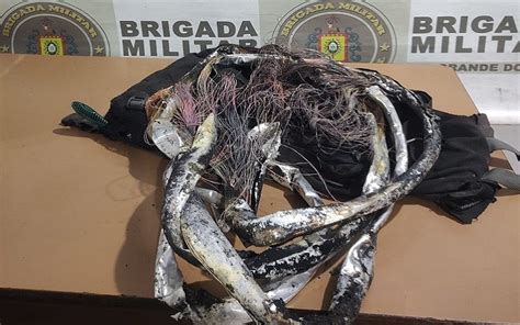 Brigada Militar Prende Homem Por Furto De Fios E Cabos No Areal Em