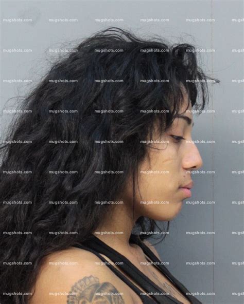 Miami Dade County Mugshot Search