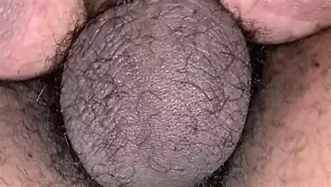 Free Wild Night Porn Videos XHamster