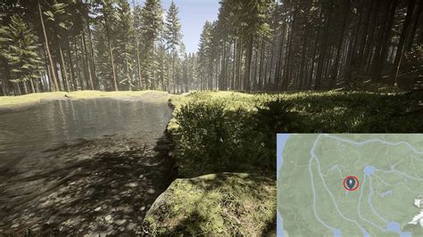 Sons Of The Forest Best Base Locations Gameskinny