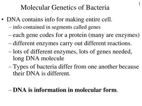 Ppt Molecular Genetics Of Bacteria Powerpoint Presentation Free