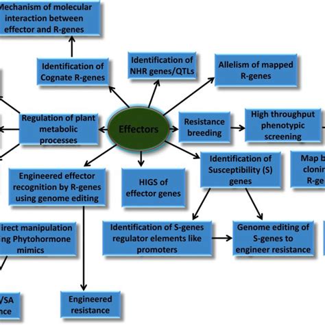 rust pathogen effectors perspectives  resistance breeding
