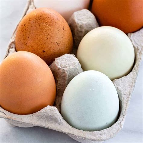 The Different Types of Eggs & Sizes - Jessica Gavin