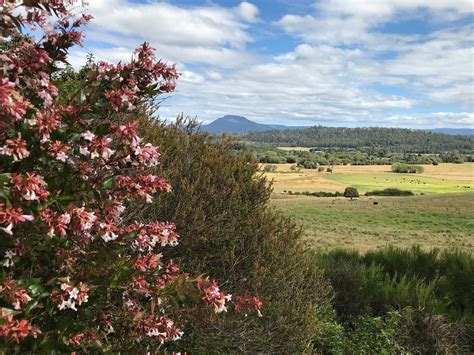 The 10 Best Things To Do In Deloraine Tripadvisor