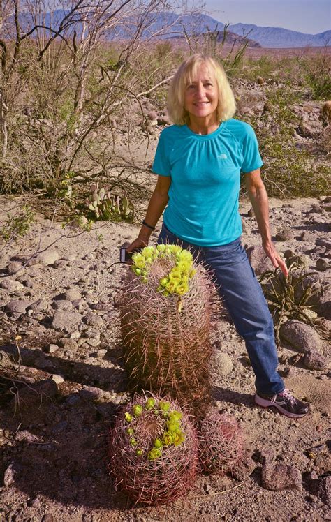 Rock Art Of Southern California Baja California And Beyond To The