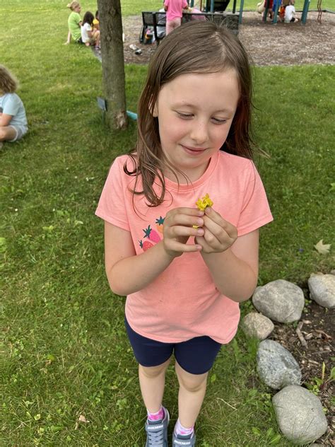 Junior Naturalist Summer Camp Dane County Land Water Resources