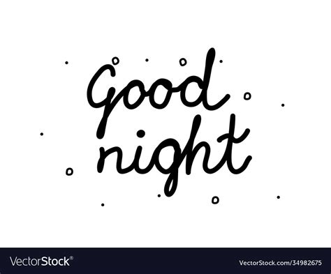 Good Night Phrase Handwritten Modern Calligraphy Vector Image