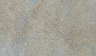 rendered treatexwall