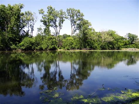 Free Images Landscape Tree Nature Forest Grass Outdoor Marsh