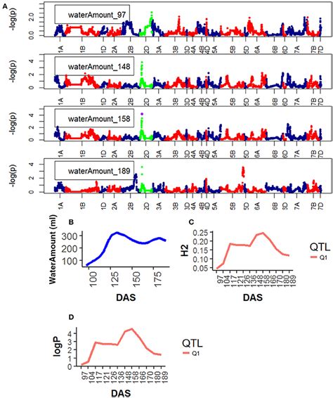 Frontiers Functional Mapping Of Quantitative Trait Loci QTLs