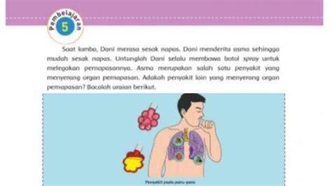 Soal Kunci Jawaban Buku Tema Kelas Sd Halaman Pentingnya