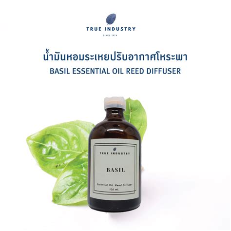 น้ำมันหอมระเหย โหระพา สำหรับปรับอากาศ Basil Essential Oil Reed