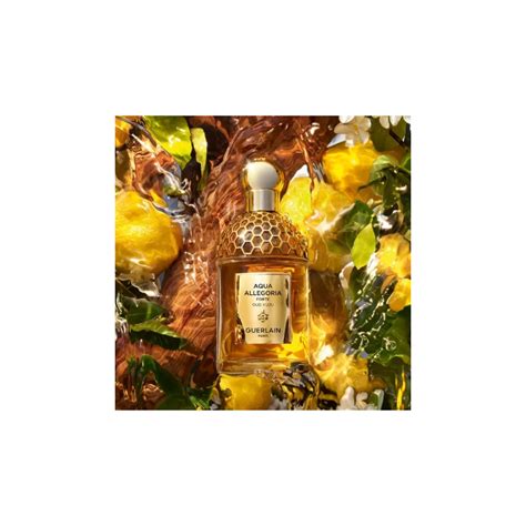 Guerlain Aqua Allegoria Forte Oud Yuzu