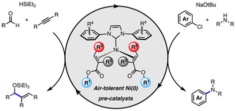 Stable Well Defined Nickel Catalysts For Catalytic Cc And Cn Bond